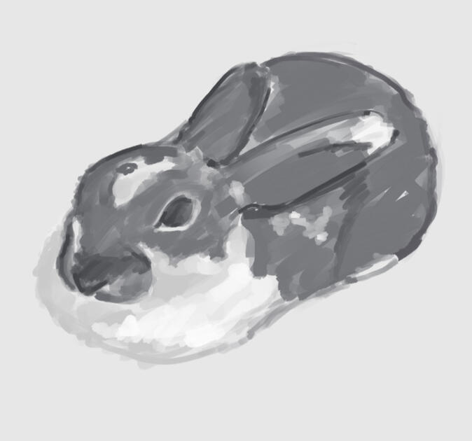 Animal/Pet | Single